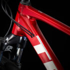 Trek Dual Sport 3